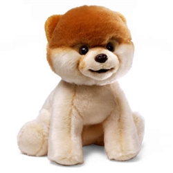 Boo World's Cutest Dog 8