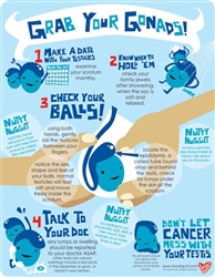 Grab Your Gonads Testicle Self Exam Chart I Heart Guts
