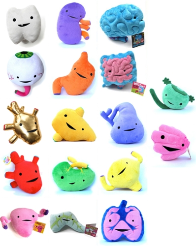 organ plush